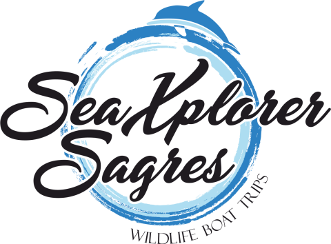 Logo with 'SeaXplorer Sagres' and 'Wildlife Boat Trips' in blue and black with a splash design.