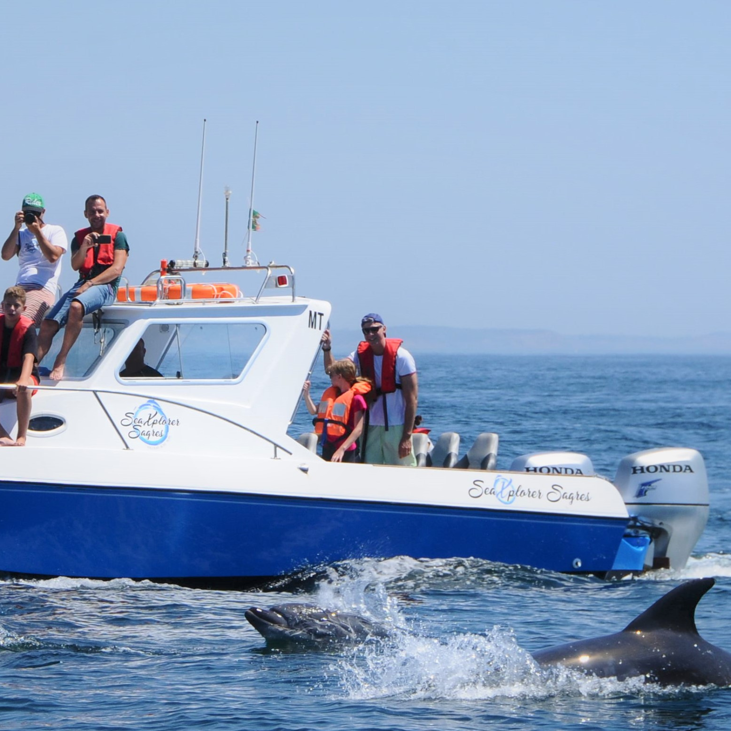 Boat with people watching dolphins swim nearby in the sea under a clear sky.