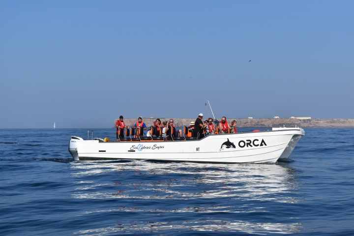 People on a white boat labeled 'ORCA' on calm sea under clear blue sky.
