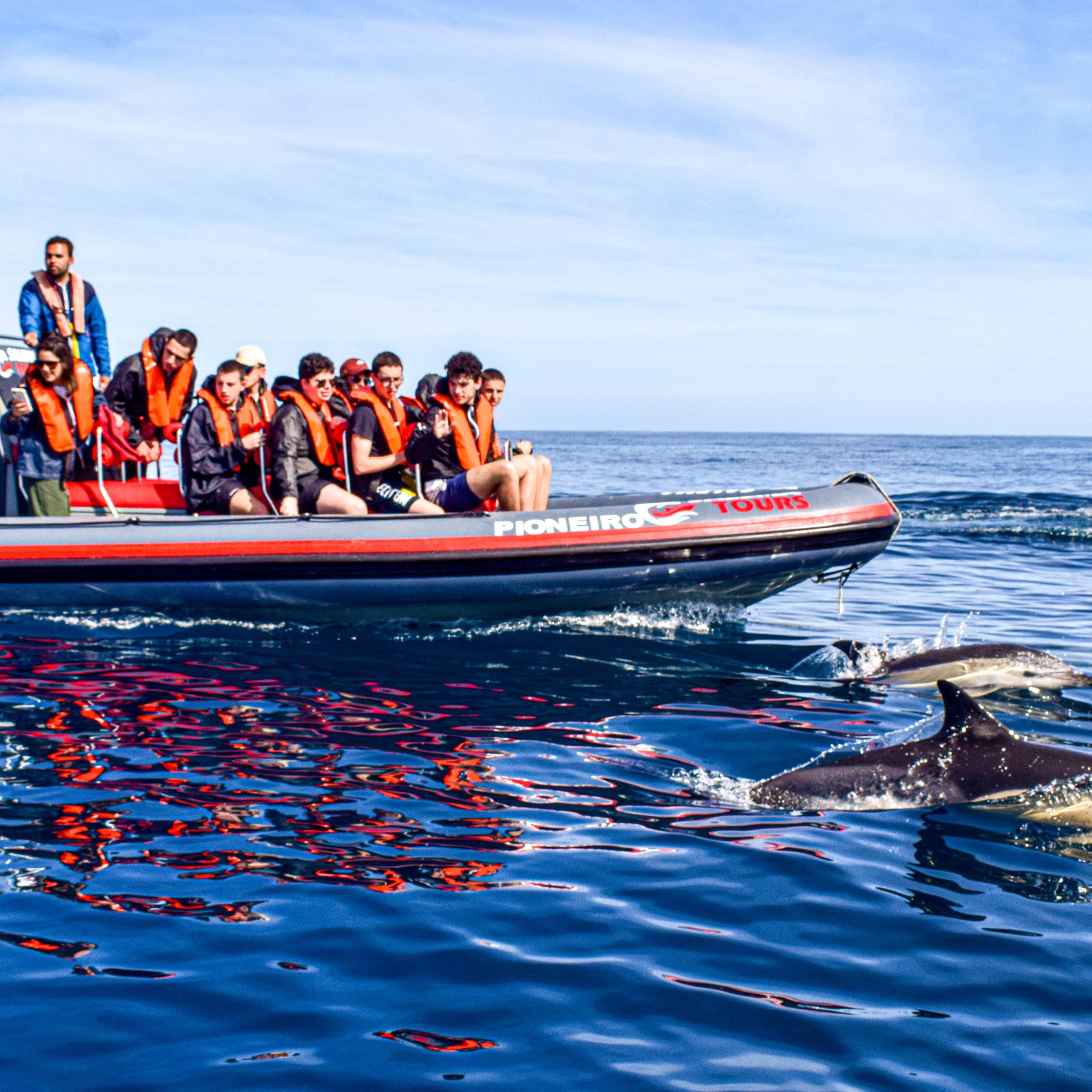 Tourists in life jackets on boats watching dolphins in the ocean.