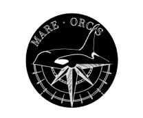 Orca and compass rose logo with text 'MARE ORCΛS' in a circle.